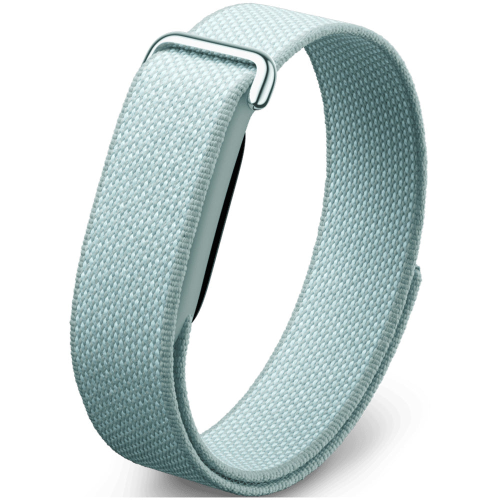 Google Fitbit Air