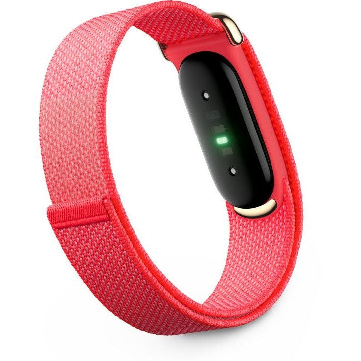 Google Fitbit Air Berry2