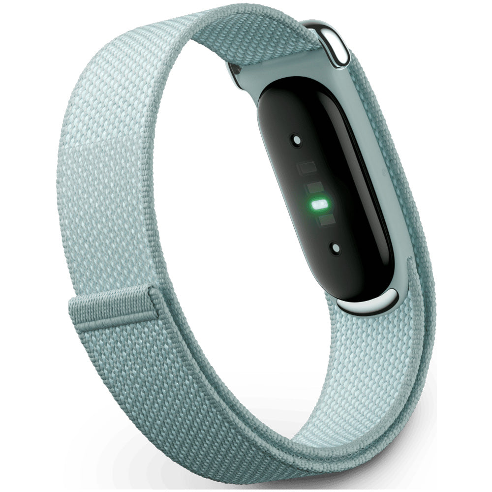 Google Fitbit Air